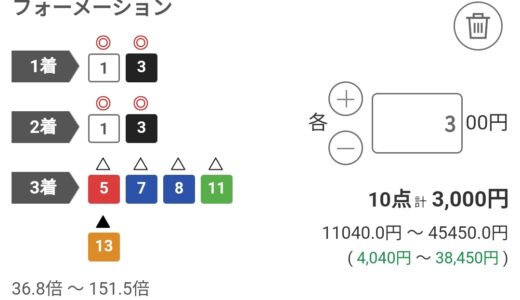 【有馬記念2024】頑張れお馬さん