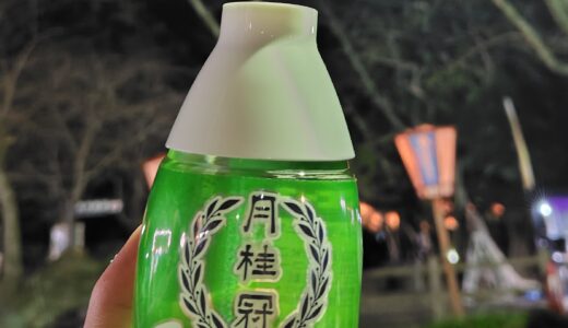 【朝日記】お花見